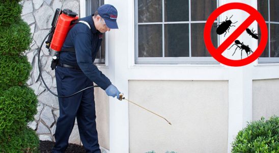 Kaman Karınca İlaçlama böcek ilaçlama ve haşere kontrolü — ilaclama-tr.com